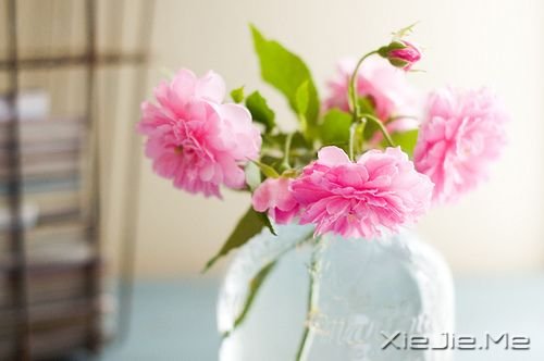 早安心语：我只有笑的很欢，忧伤才不会被看穿 (1)
